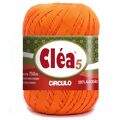 clea-5-cor-4456.jpg