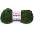 mollet-0447.jpg